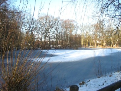 Holiday apartment Hamburg - Environment photo 19