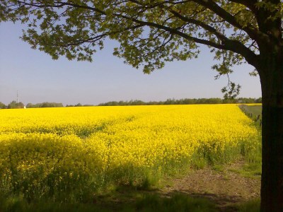 Holiday apartment Hamburg - Environment photo 20