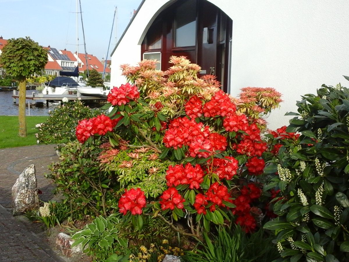 Holiday house Aquaronde 75 on peninsula - Outdoor photo 2