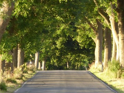 Holiday apartment Galerie - Environment photo 25