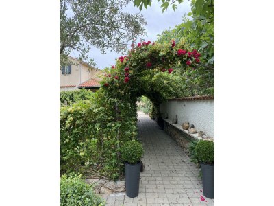 Holiday house Mirta - Outdoor photo 3