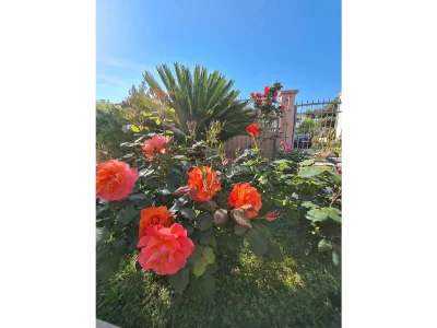 Villa Stela-Dream Family Oasis - Outdoor photo 7