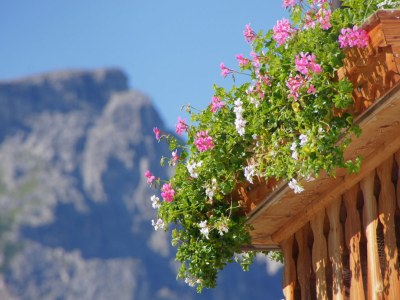 Apartment Nagula at the Grones Farm - Outdoor photo 11