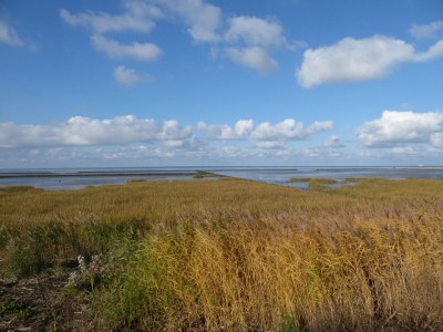 Holiday apartment Meerzeit - Environment photo 21