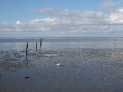 Holiday apartment Meerzeit - Document photo 28