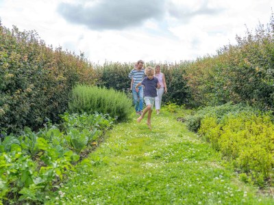 Holiday apartment Ferienwohnung 66 - Environment photo 22