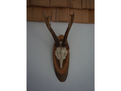 Holiday house Fritz - Features photo 26