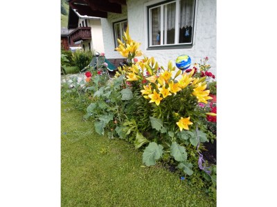 Holiday house Bergmeister - Outdoor photo 6