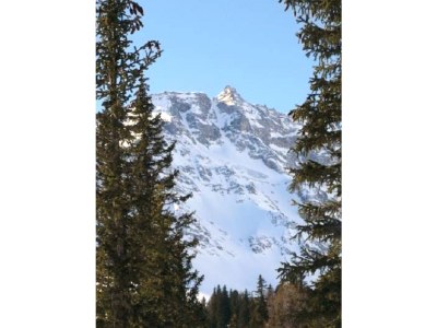 Holiday house Bergmeister - Environment photo 16