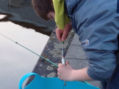 Holiday house 2 Strand Horst - Environment photo 31