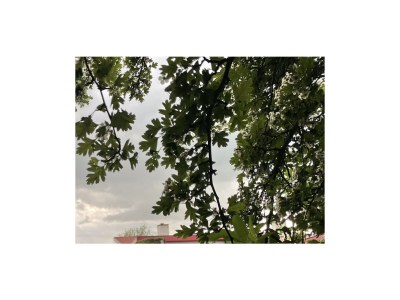 Holiday house 2 Strand Horst - Environment photo 33