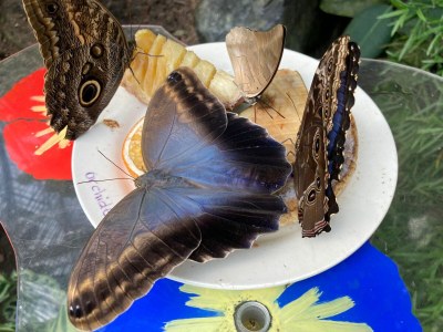 Holiday house 2 Strand Horst - Environment photo 38