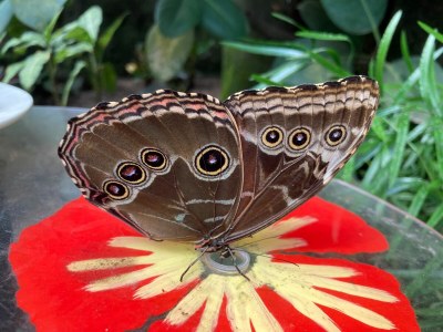 Holiday house 2 Strand Horst - Environment photo 40