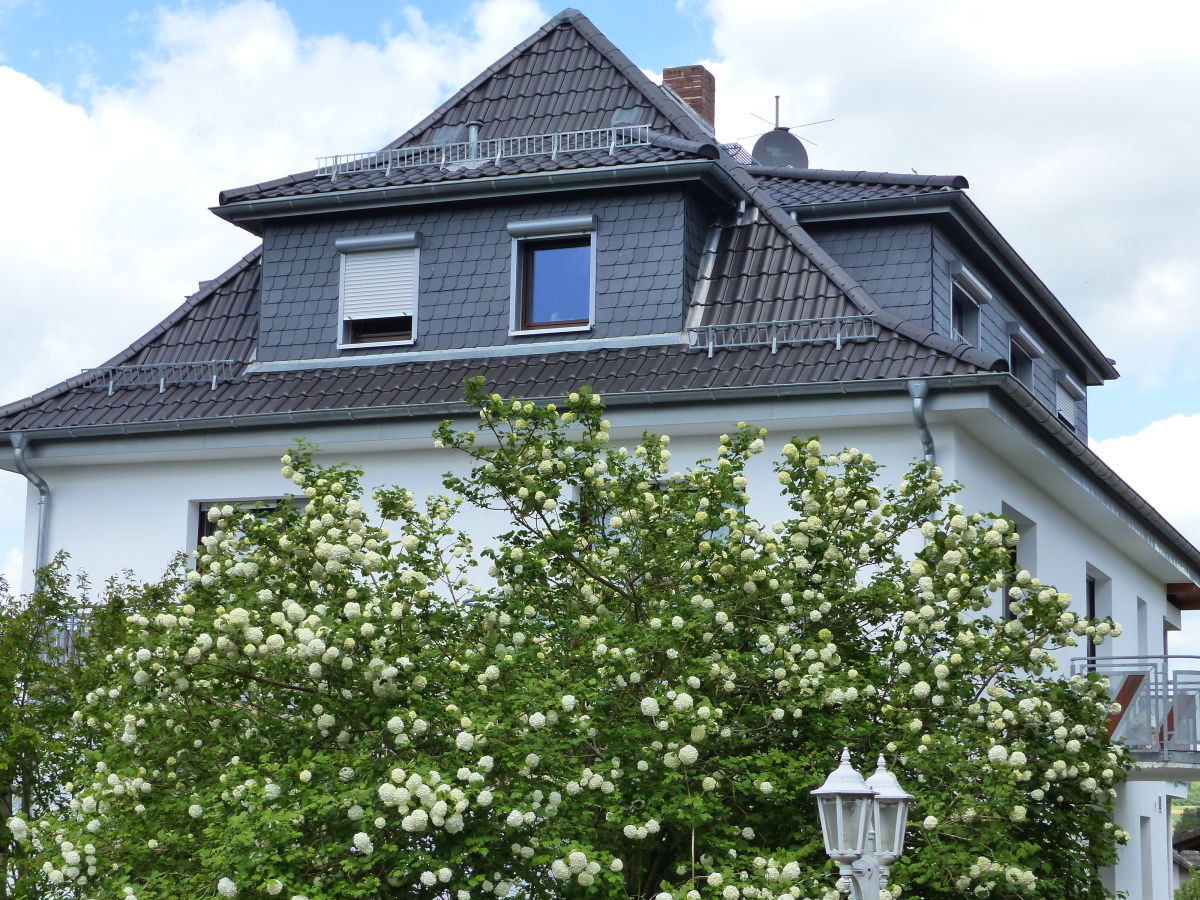 Holiday apartment Waldblick - Outdoor photo 3