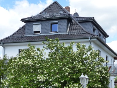 Holiday apartment Waldblick - Outdoor photo 3