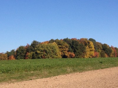 Holiday apartment Waldblick - Environment photo 21