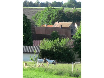 Holiday apartment Zum Alten Späth - Environment photo 13