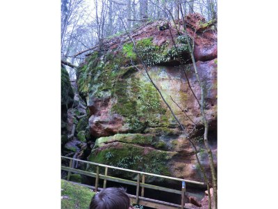 Holiday apartment Zum Alten Späth - Environment photo 15