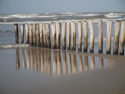 Holiday apartment Center Court Cottage - Environment photo 12