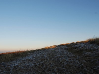 Holiday apartment Center Court Cottage - Environment photo 13