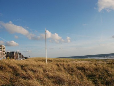 Holiday apartment Center Court Cottage - Environment photo 14