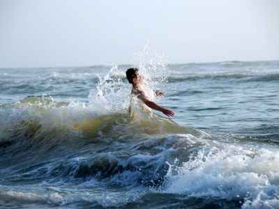 Holiday apartment Center Court Cottage - Environment photo 15