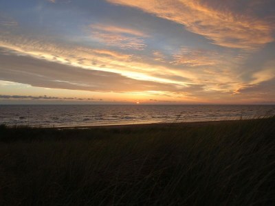 Holiday apartment Center Court Cottage - Environment photo 17