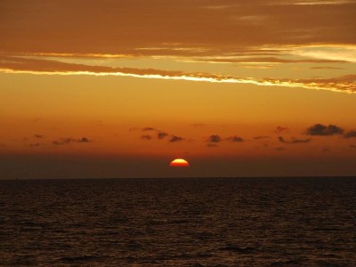 Holiday apartment Center Court Cottage - Environment photo 18