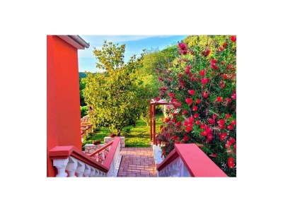 Holiday apartment Studio Ana - Outdoor photo 13