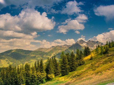 Holiday apartment Landhouse Heimat - Environment photo 16