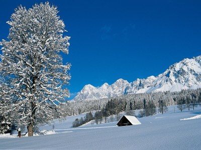 Holiday apartment Landhouse Heimat - Environment photo 29