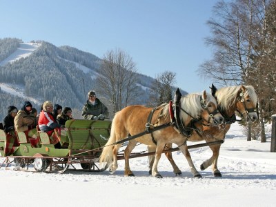 Holiday apartment Landhouse Heimat - Environment photo 35