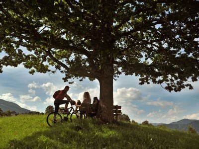 Holiday apartment Landhouse Heimat - Environment photo 37