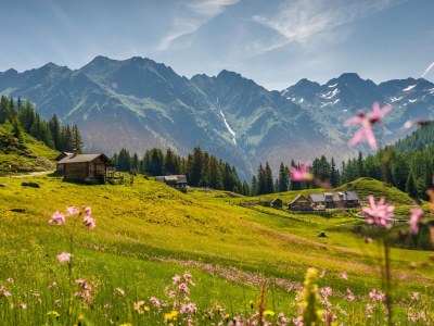 Holiday apartment Landhouse Heimat - Document photo 44