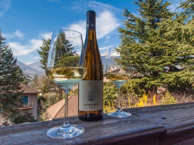 Apartment Two-room apartment in Merano at the Residence Villa Eleonora - Outdoor photo 10