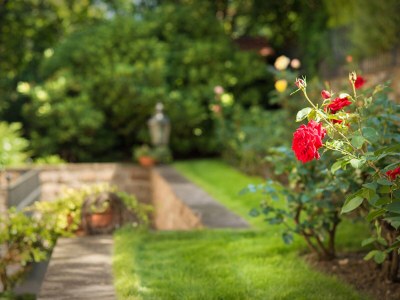 Apartment Two-room apartment in Merano at the Residence Villa Eleonora - Environment photo 20