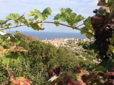 Holiday apartment Coldirodi, San Remo - Outdoor photo 4