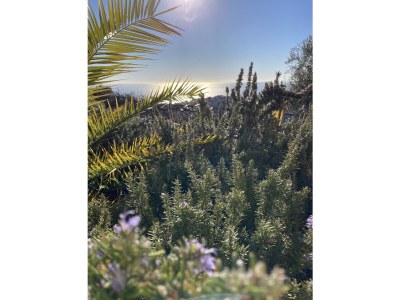 Holiday apartment Coldirodi, San Remo - Environment photo 31