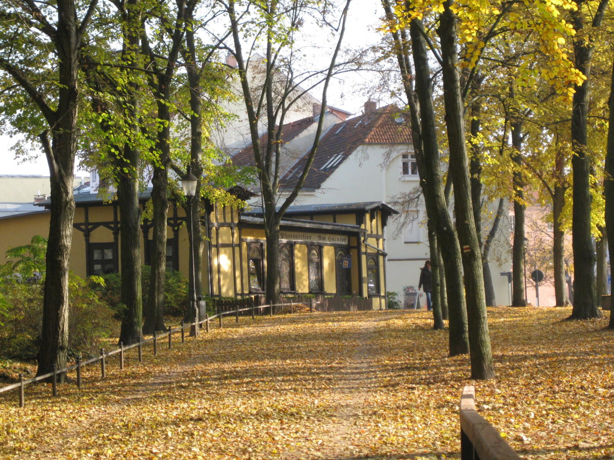 Holiday apartment Bookbindery am Haintor - Outdoor photo 2