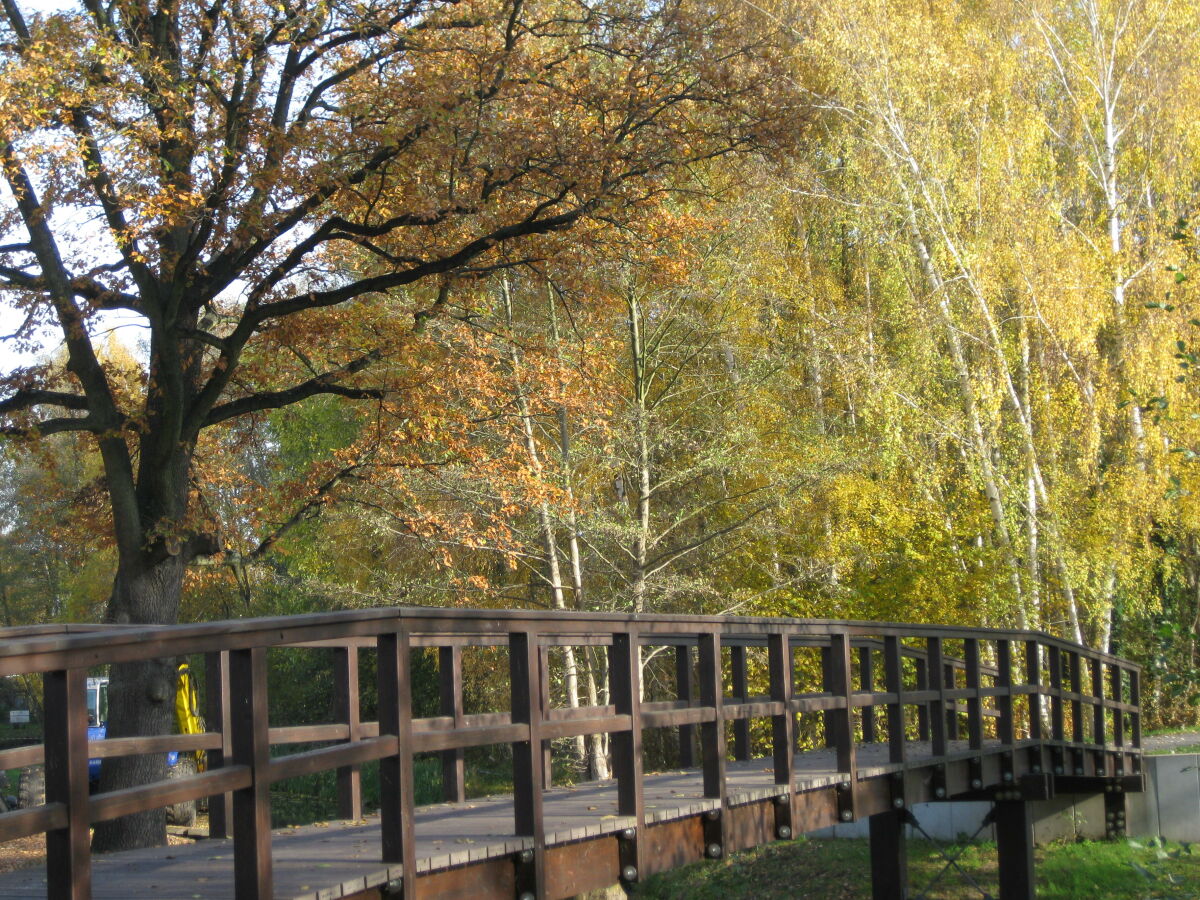 Holiday apartment Bookbindery am Haintor - Outdoor photo 5