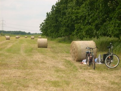 Holiday apartment Bookbindery am Haintor - Outdoor photo 7