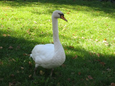 Holiday apartment Bookbindery am Haintor - Outdoor photo 10
