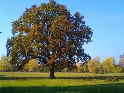 Holiday apartment Bookbindery am Haintor - Outdoor photo 11