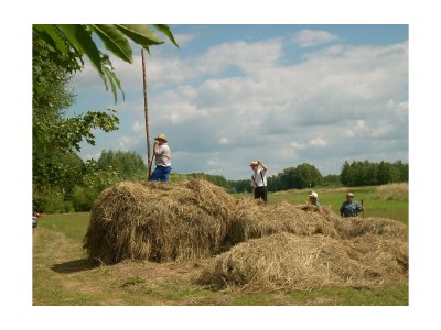 Holiday apartment Bookbindery am Haintor - Outdoor photo 19