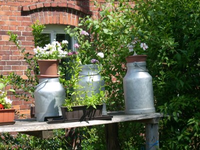 Holiday apartment Bookbindery am Haintor - Outdoor photo 22