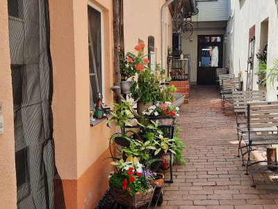 Holiday apartment Bookbindery am Haintor - Outdoor photo 30