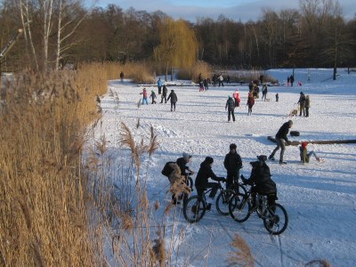 Holiday apartment Bookbindery am Haintor - Features photo 31