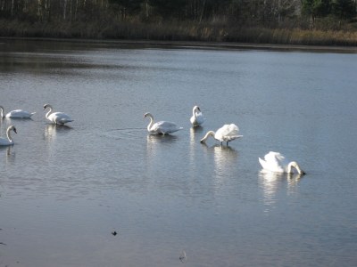 Holiday apartment Bookbindery am Haintor - Environment photo 34