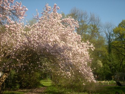 Holiday apartment Bookbindery am Haintor - Environment photo 37