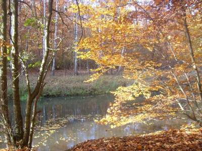 Holiday apartment Bookbindery am Haintor - Environment photo 38
